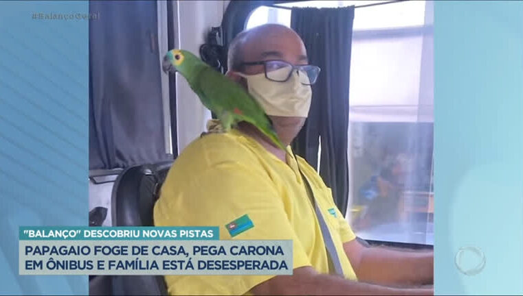 Balanço Geral se mobiliza para encontrar papagaio desaparecido no interior de SP – Notícias