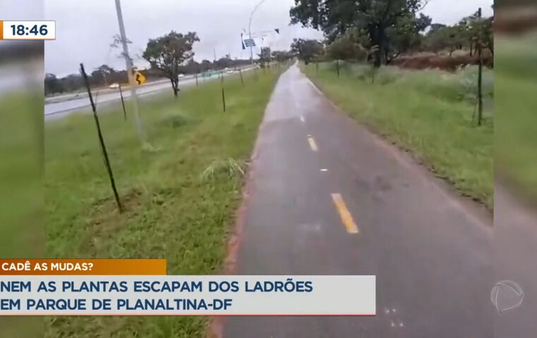 Moradores relatam furto de plantas em parque de Planaltina DF – Brasília