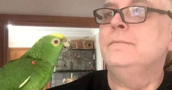 Vizinho confunde gritos de papagaio com pedido de socorro e chama polícia