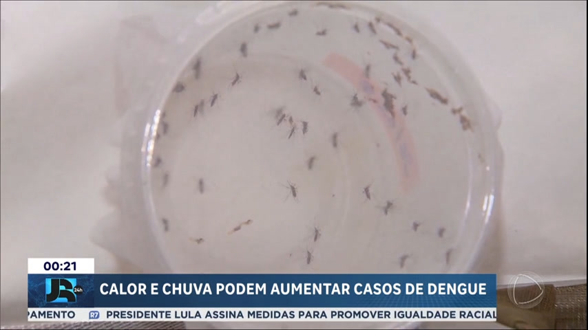 Calor e chuva podem aumentar casos de dengue no país – JR 24H